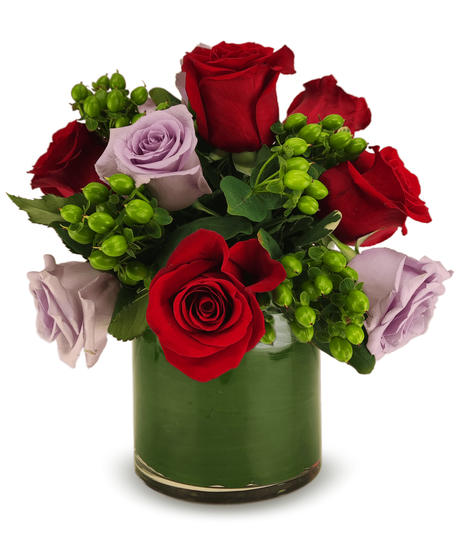 Rose Jubilee