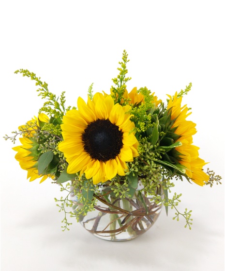 Sassy Sunflowers