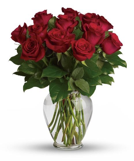 Red Roses Arranged
