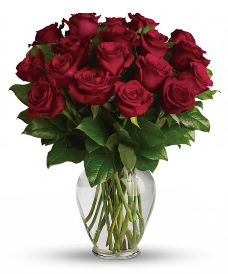 Red Roses Arranged