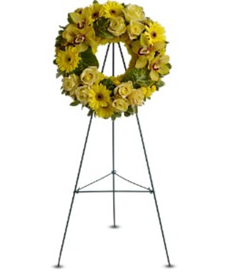 Circle Of Sunshine