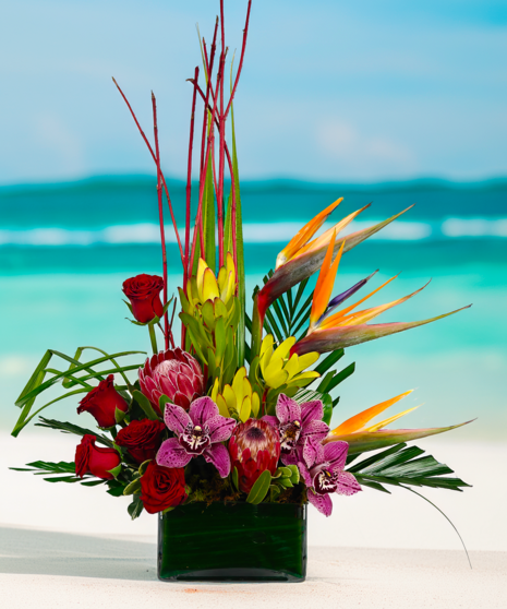 Tropical Bliss