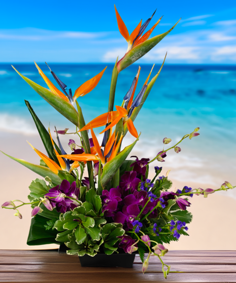 Tropical Wonder