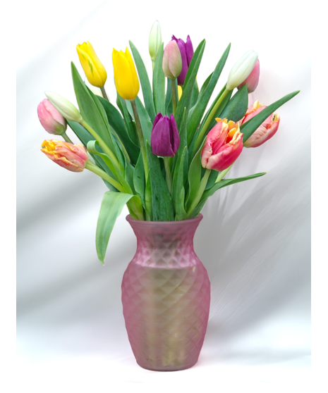 Spring Colorful Tulips