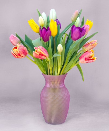 Mixed Spring Tulips
