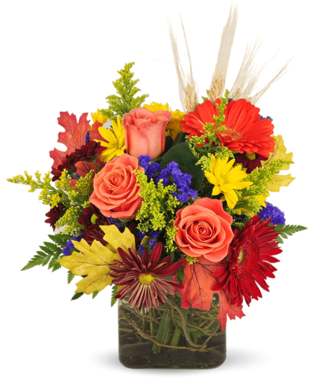 Daisy and Rose Cube Fall Arrangement