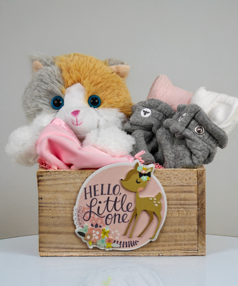 Baby Gift Bundle