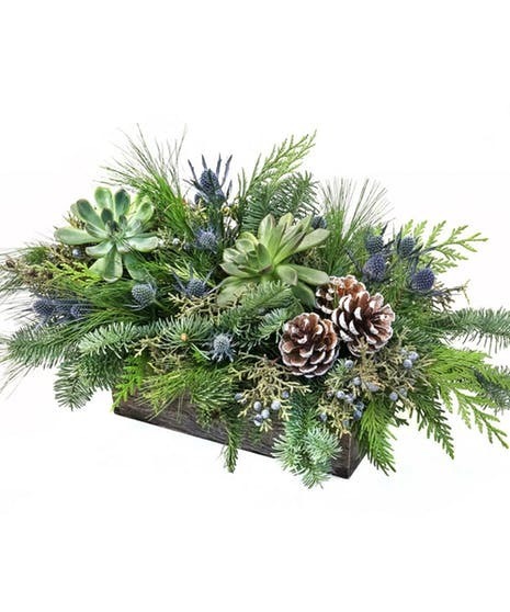 Holiday Succulents