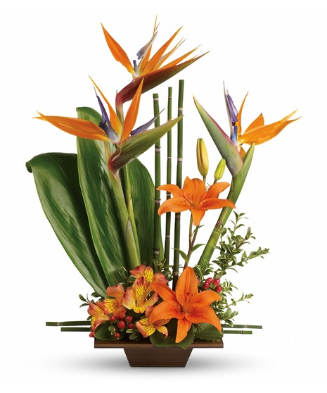 Bird of Paradise Tropical Arrangement 