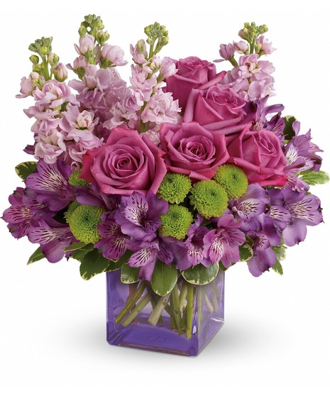lavender roses & alstromeria, white stock, green button poms in purple container