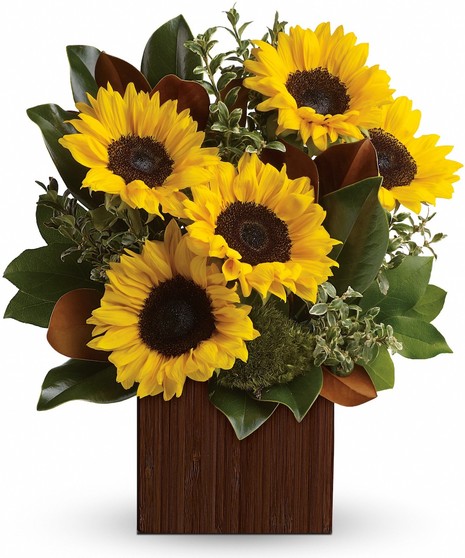 Sunflowers and magnolia leaves in a bamboo vase