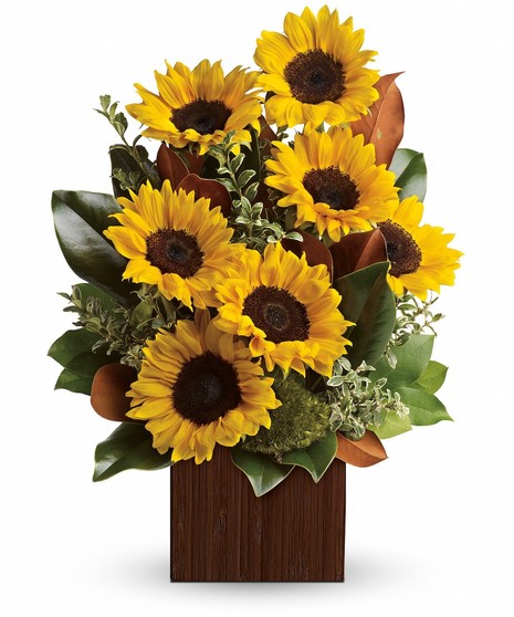 Sunflowers and magnolia leaves in a bamboo vase