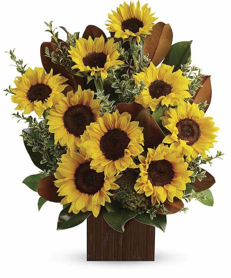 Sunflowers and magnolia leaves in a bamboo vase