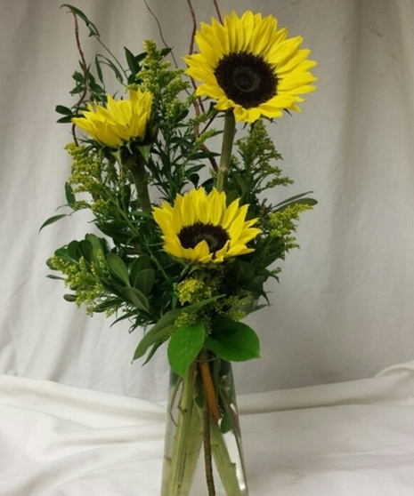 You Are My Sunshine