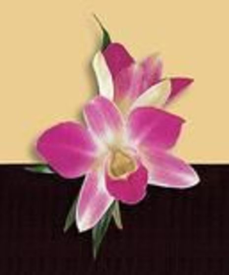 Purple Dendrobium Boutonniere