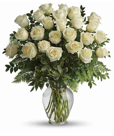 White Roses - Love Endures