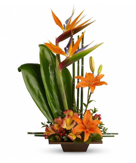 Bird of Paradise Tropical Arrangement 