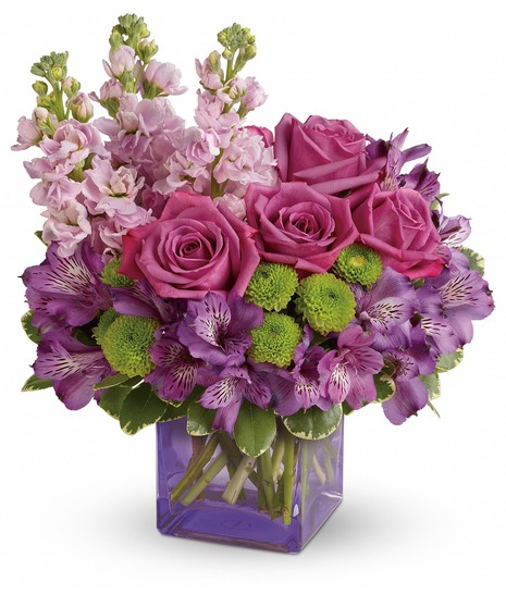 lavender roses & alstromeria, white stock, green button poms in purple container