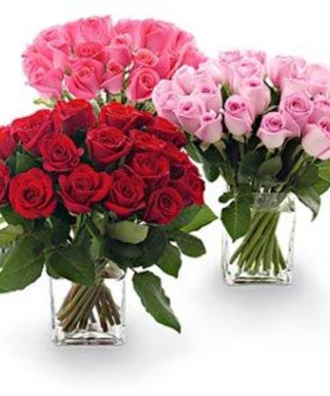 25 Rose Cluster