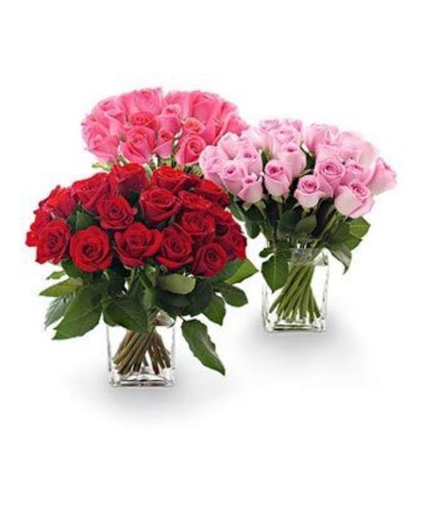25 Roses Arranged
