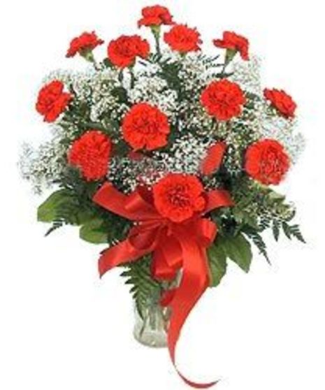 Red Carnations Holiday Arrangement