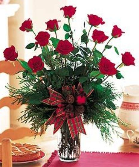 Christmas Roses