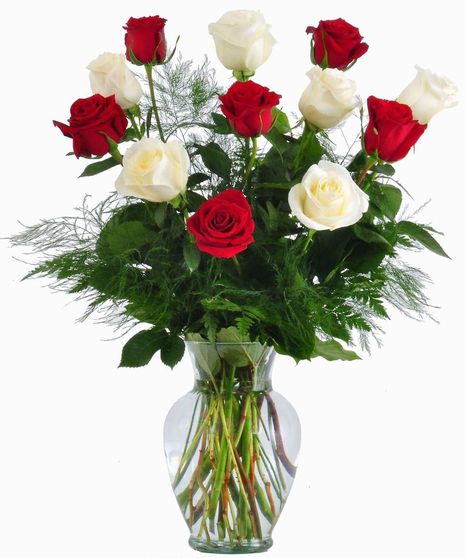 One Dozen Red & White Delight Roses