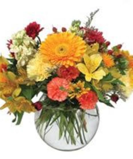 Bubble Bowl Mixed Seasonal Flowers