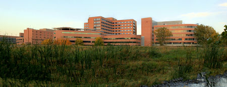 Flower Delivery to Methodist Hospital - Schaaf Floral